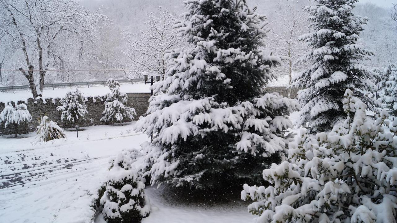 Gabala Yeddi Gozel Hotel Exteriér fotografie